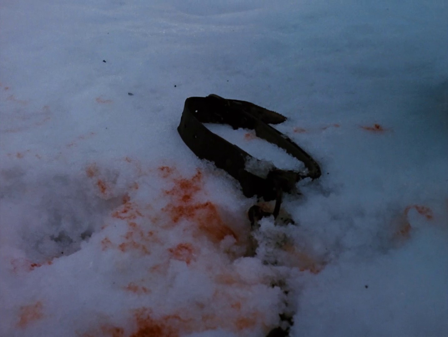 The Millennial Bee (1984) —  shot,  lighting