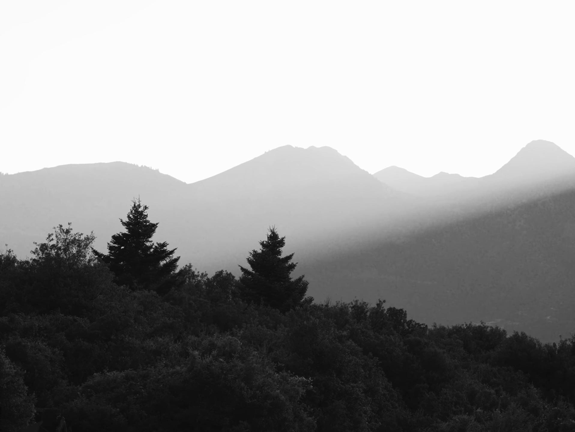 EREBOS (2026) —  shot,  lighting