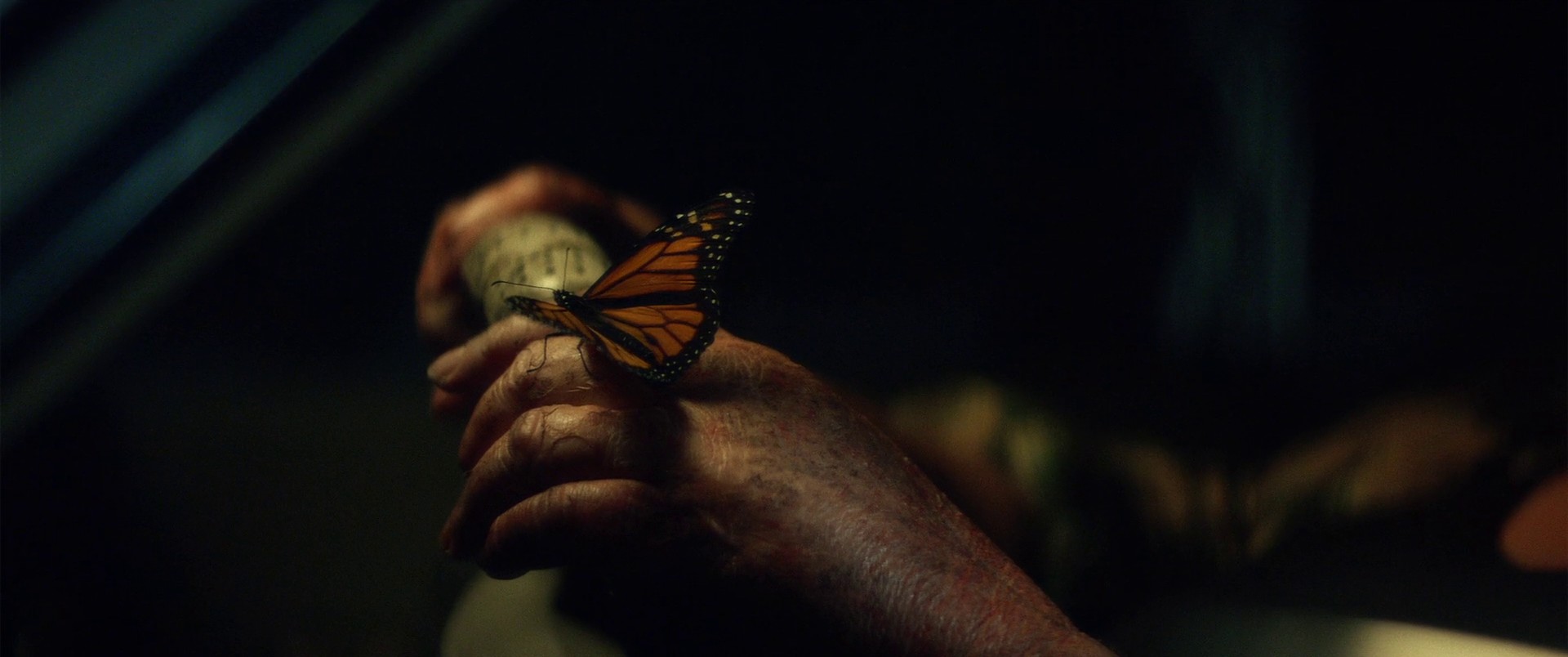 Love Galore (2017) —  shot,  lighting