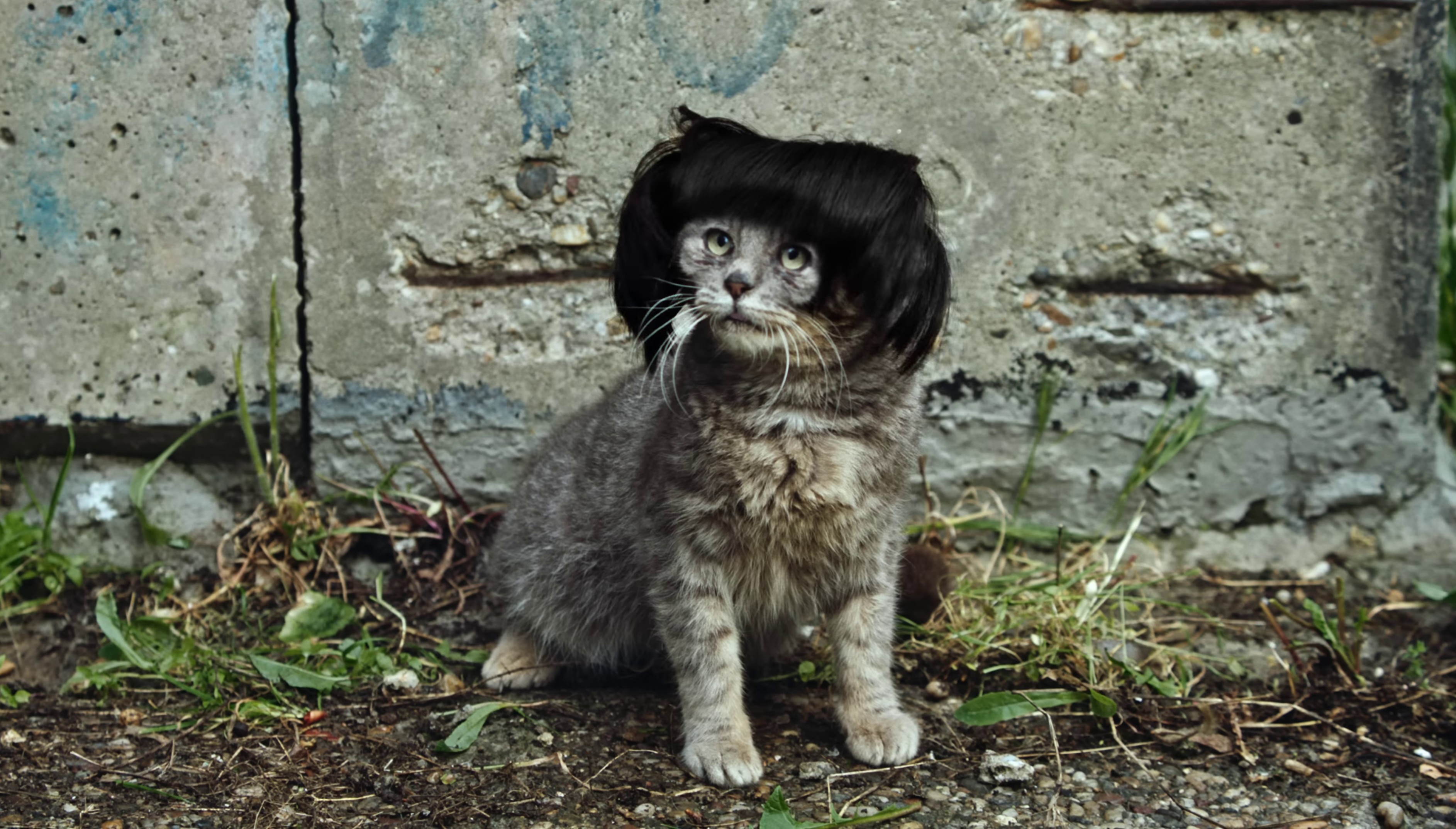 One & Only (2023) —  shot,  lighting