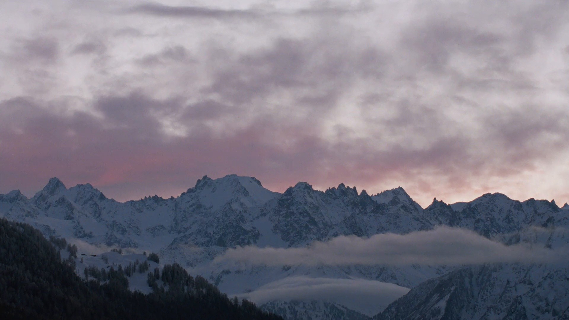 MASSIMO DUTTI - STINI ROEHRS (2025) —  shot,  lighting