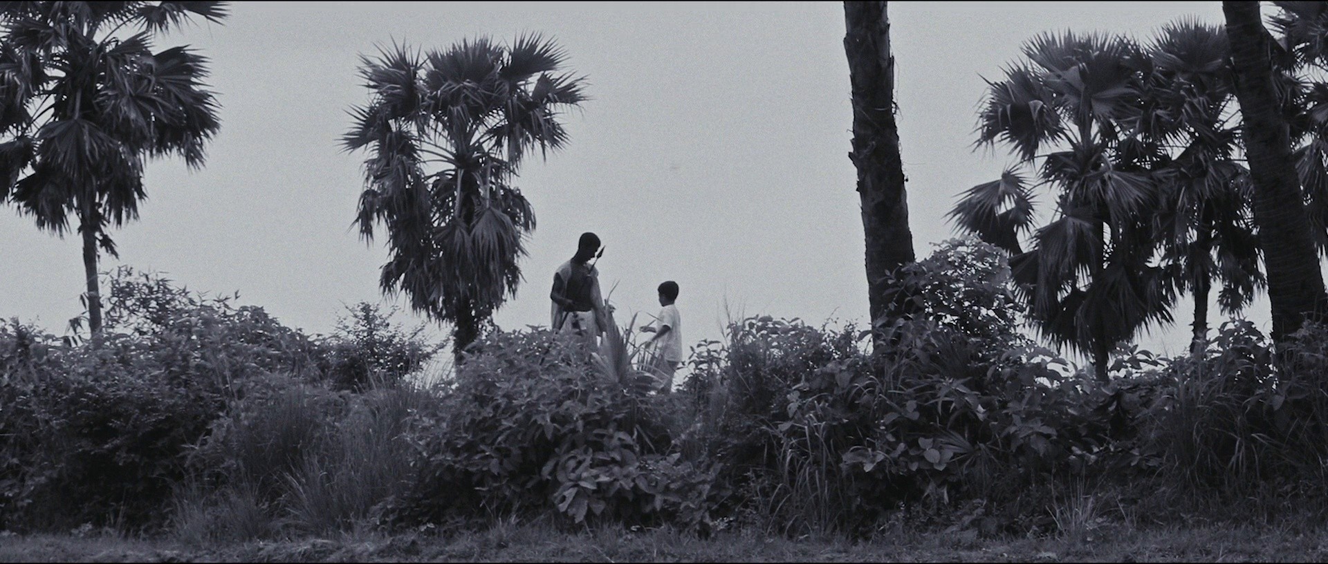 Teenkahon (2015) —  shot,  lighting