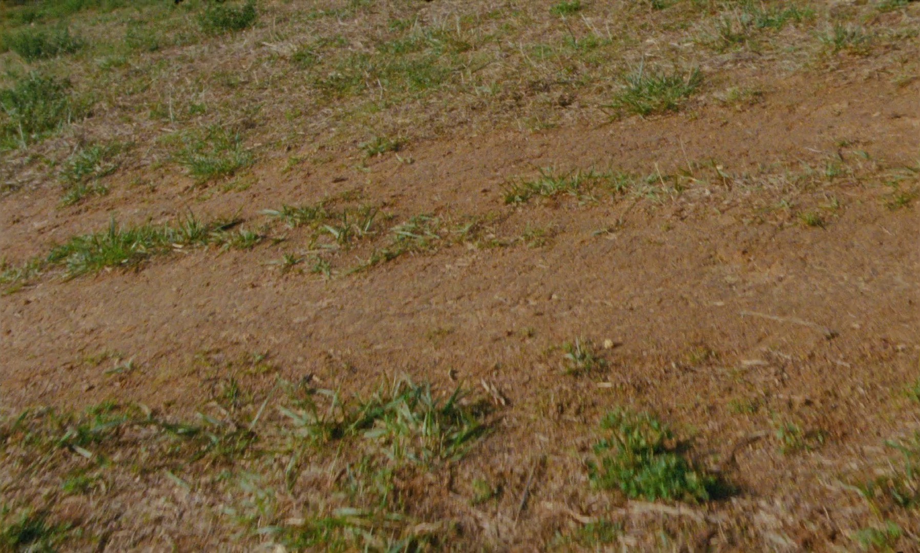 Dancer in the dark (2019) —  shot,  lighting