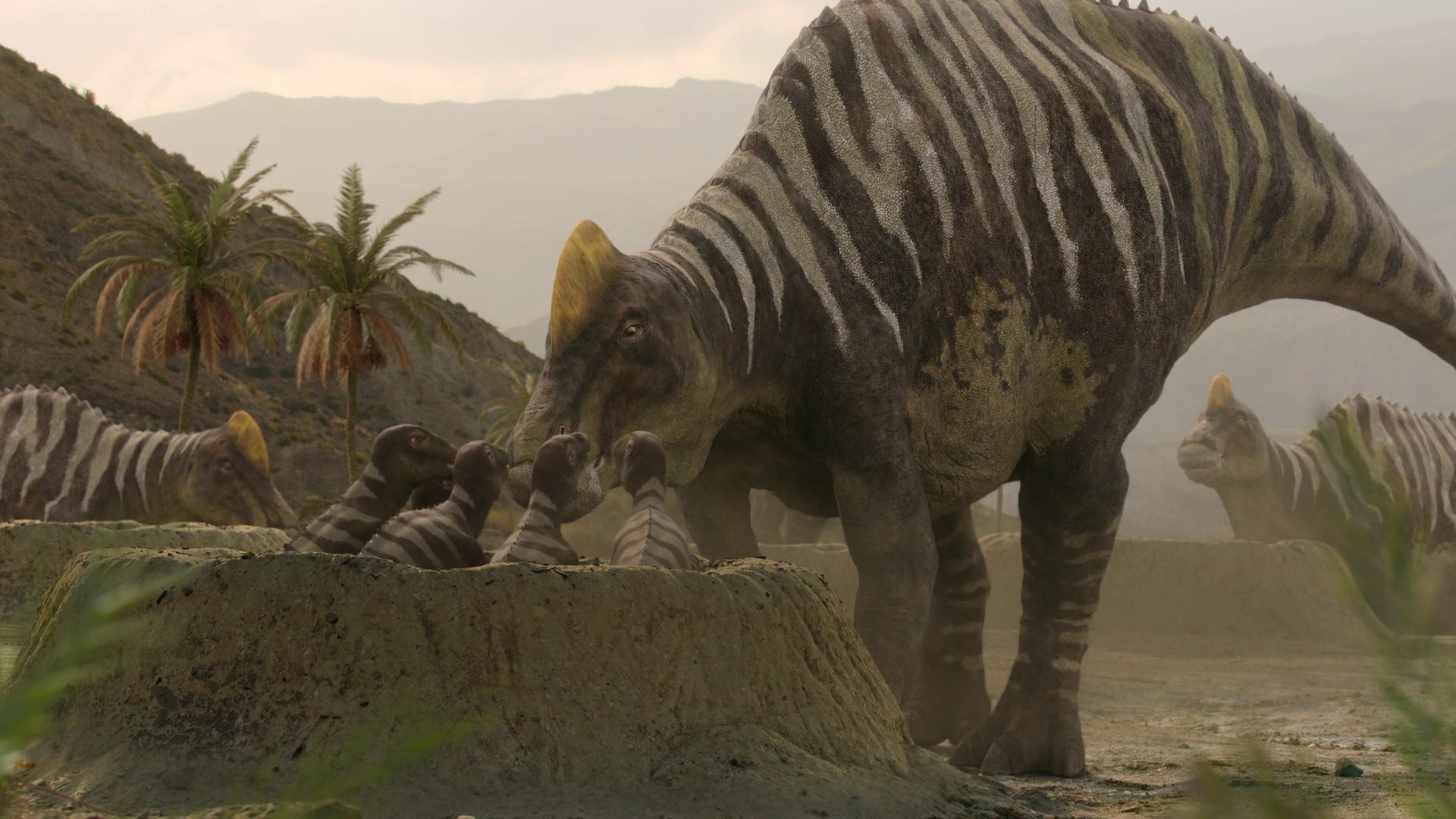 Out of the Ashes (2023) —  shot,  lighting