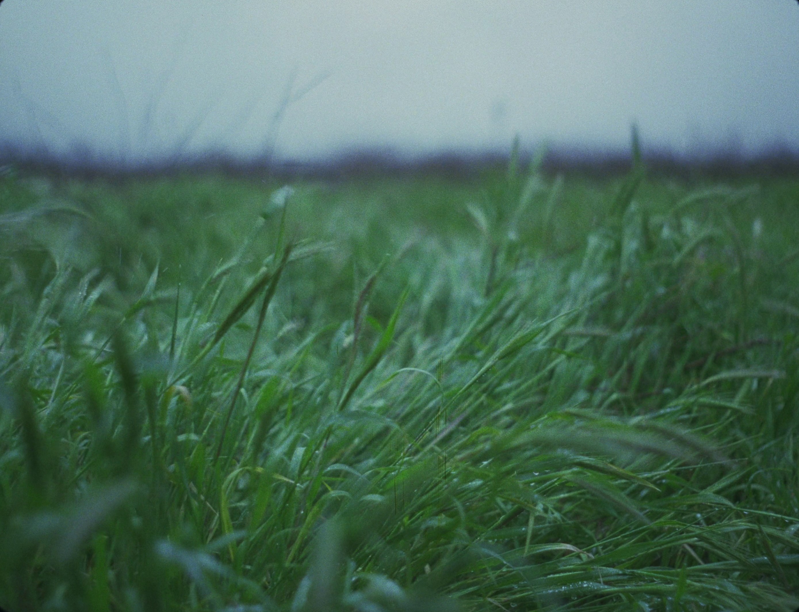 loewe X on | the breath (2024) —  shot,  lighting