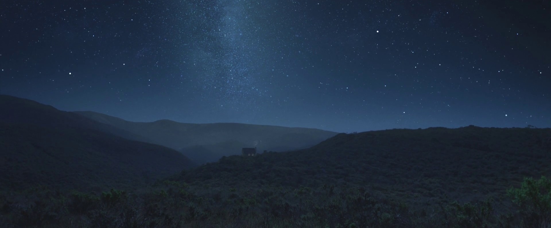 Overgrown (2013) —  shot,  lighting