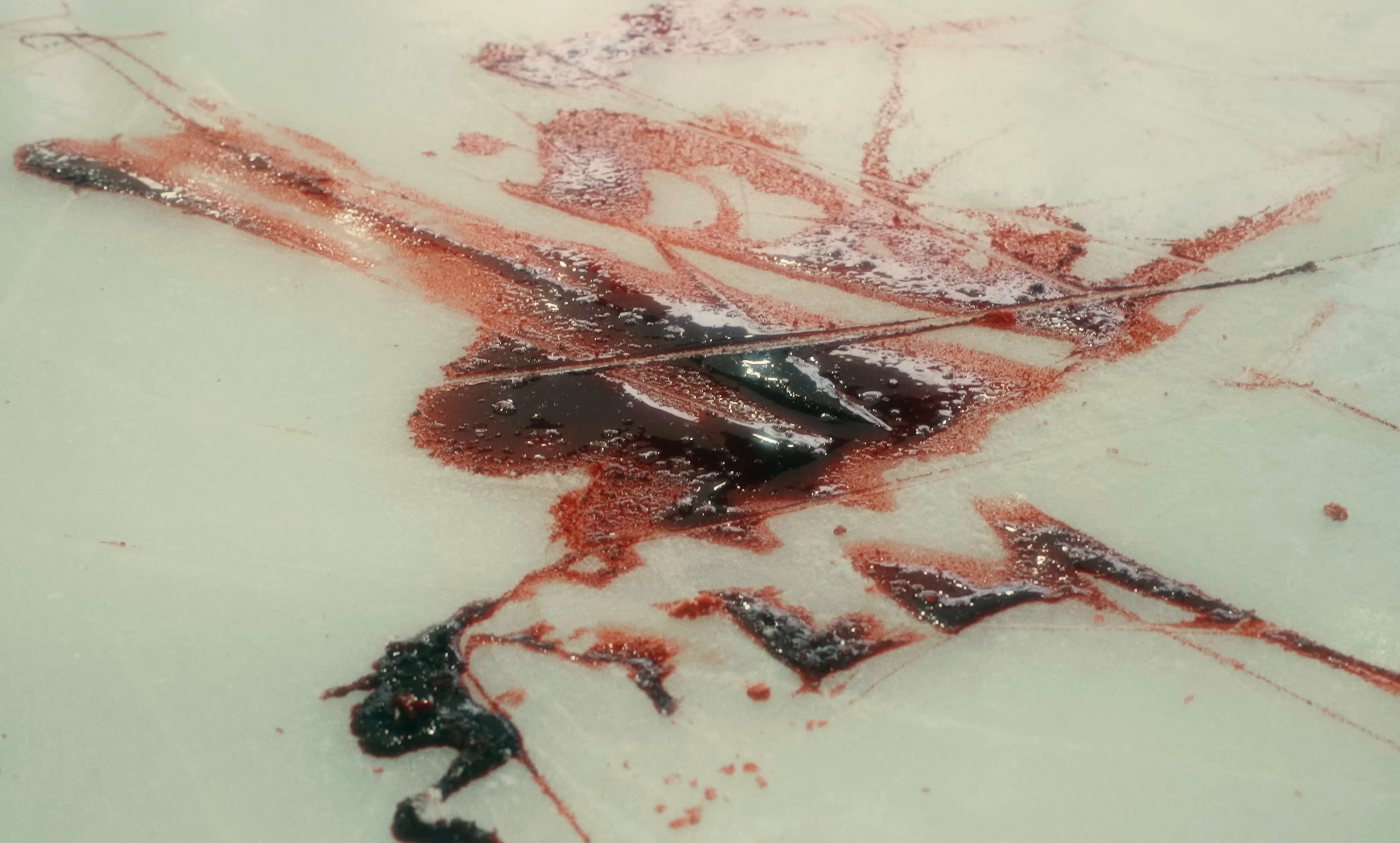 saisons, le film: printemps (2024) —  shot,  lighting