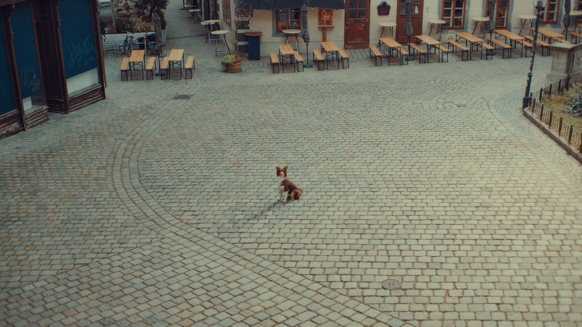 Telekom - No fiber, no football (2024) —  shot,  lighting