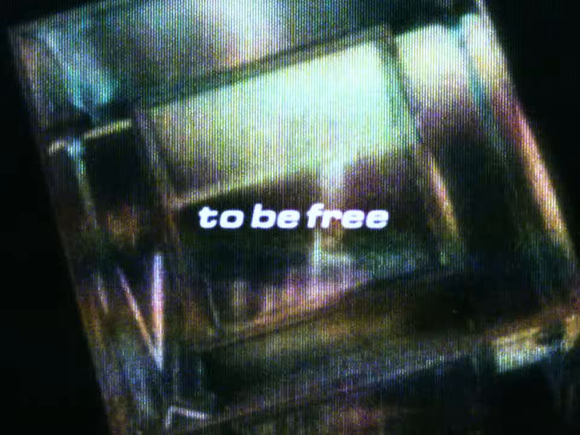 To be free (2024) —  shot,  lighting