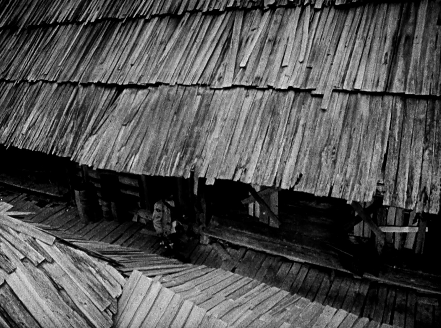 Shadows of Forgotten Ancestors (1965) —  shot,  lighting