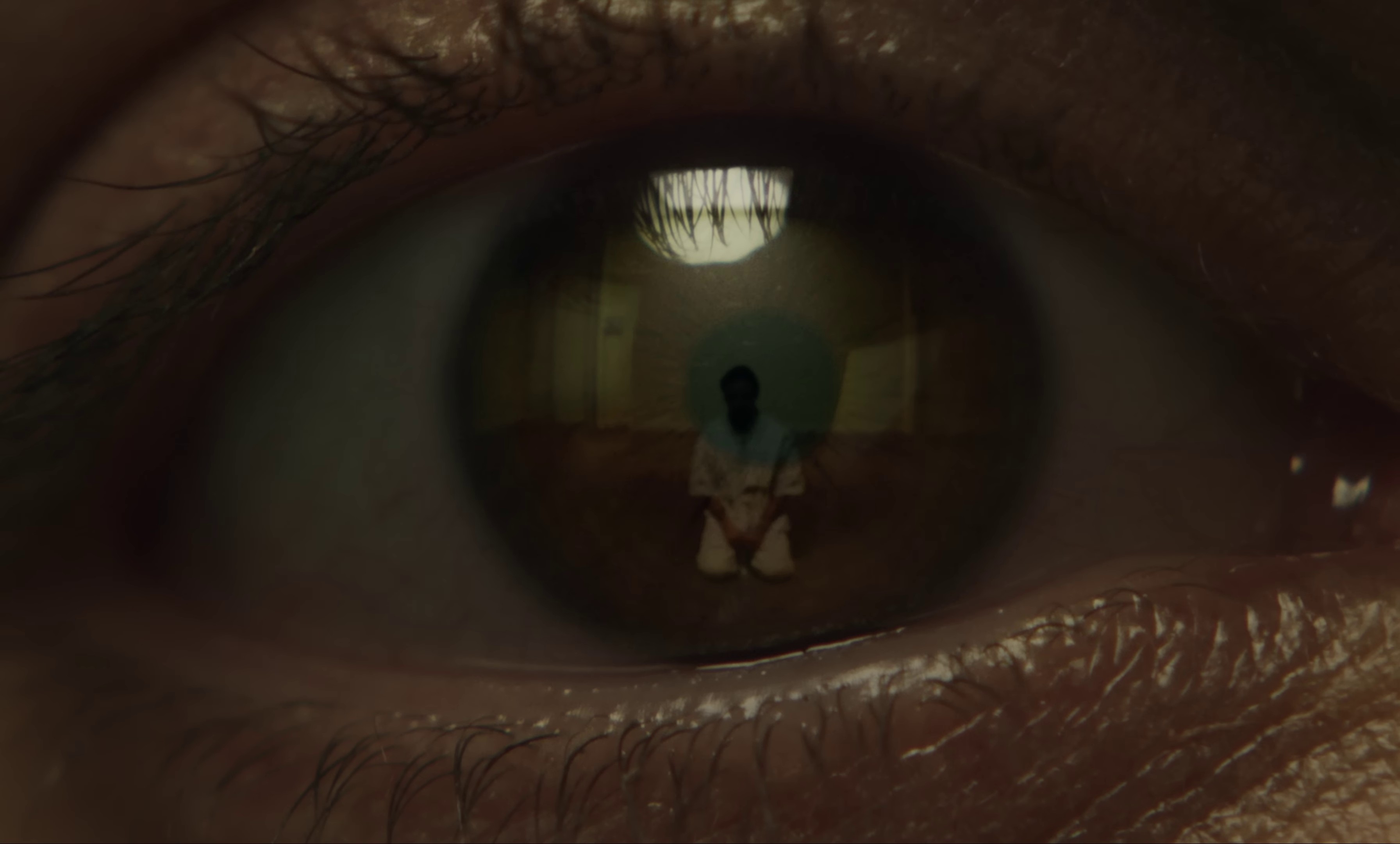 Les ombres (2022) —  shot,  lighting