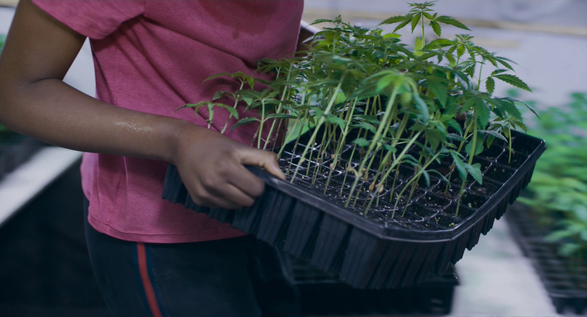 Tori and Lokita (2023) —  shot,  lighting