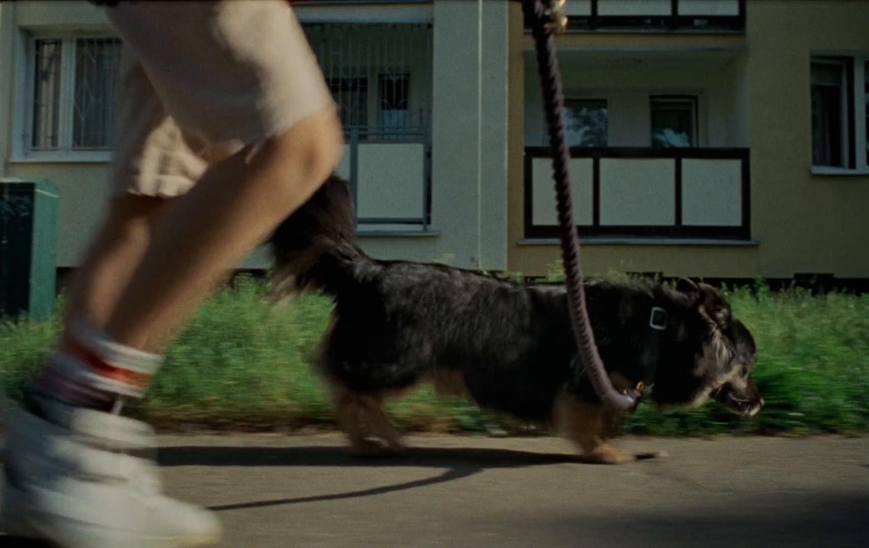 Nie porzucaj x TOZ (2024) —  shot,  lighting