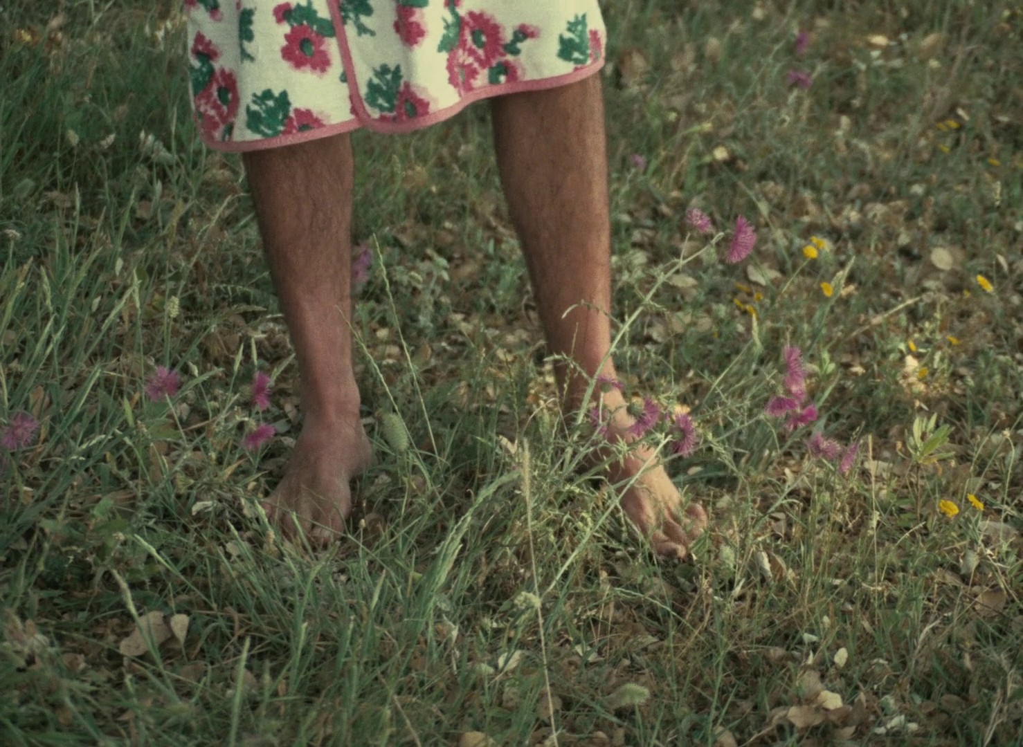 The Collector (1967) —  shot,  lighting