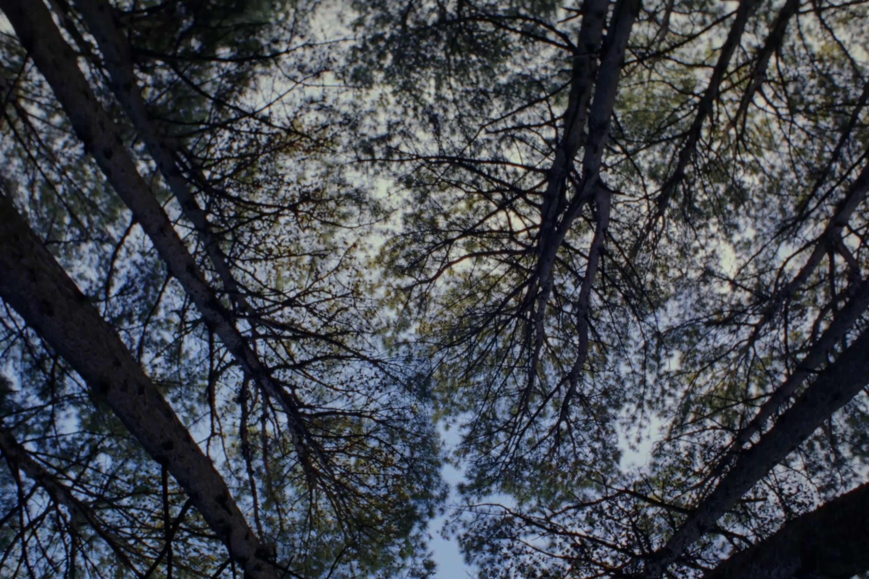 Gatorade "Gatorade vs Water" Directed by Nico Perez Veiga (2024) —  shot,  lighting