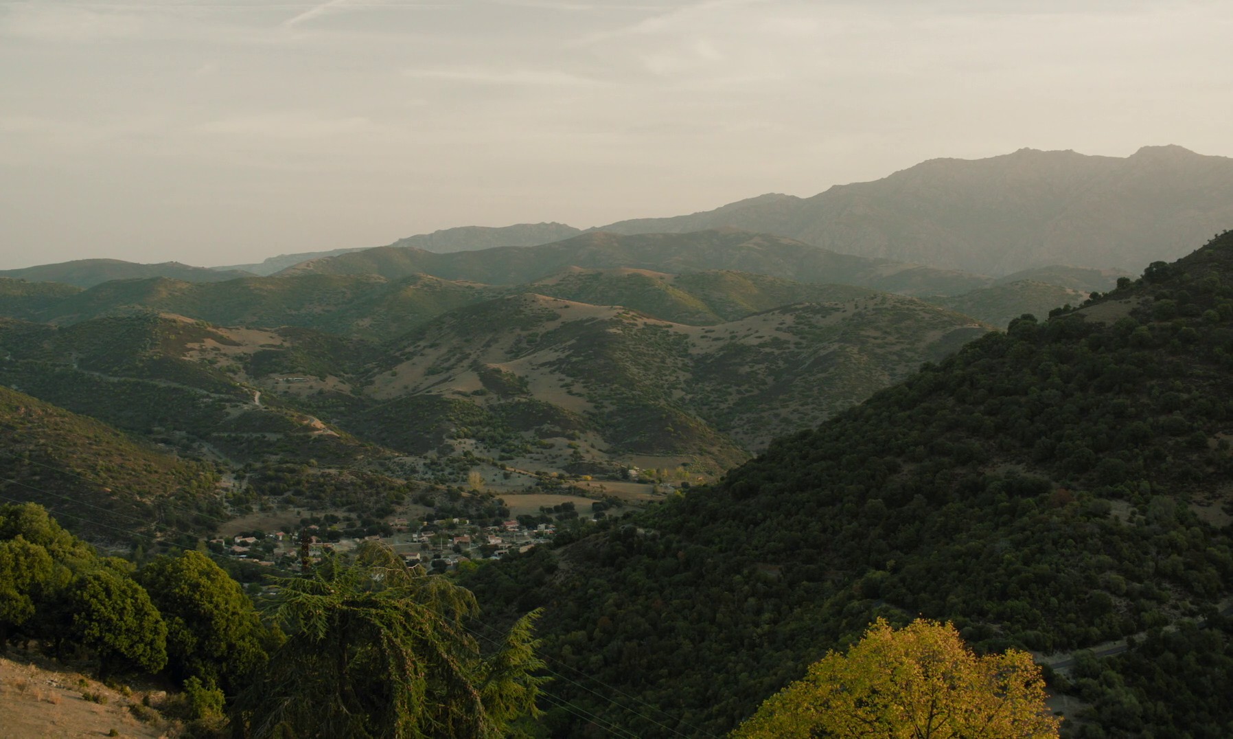 Homecoming (2023) —  shot,  lighting