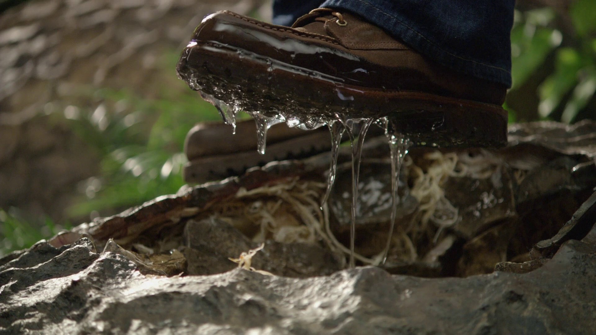 Journey 2: The Mysterious Island (2012) —  shot,  lighting