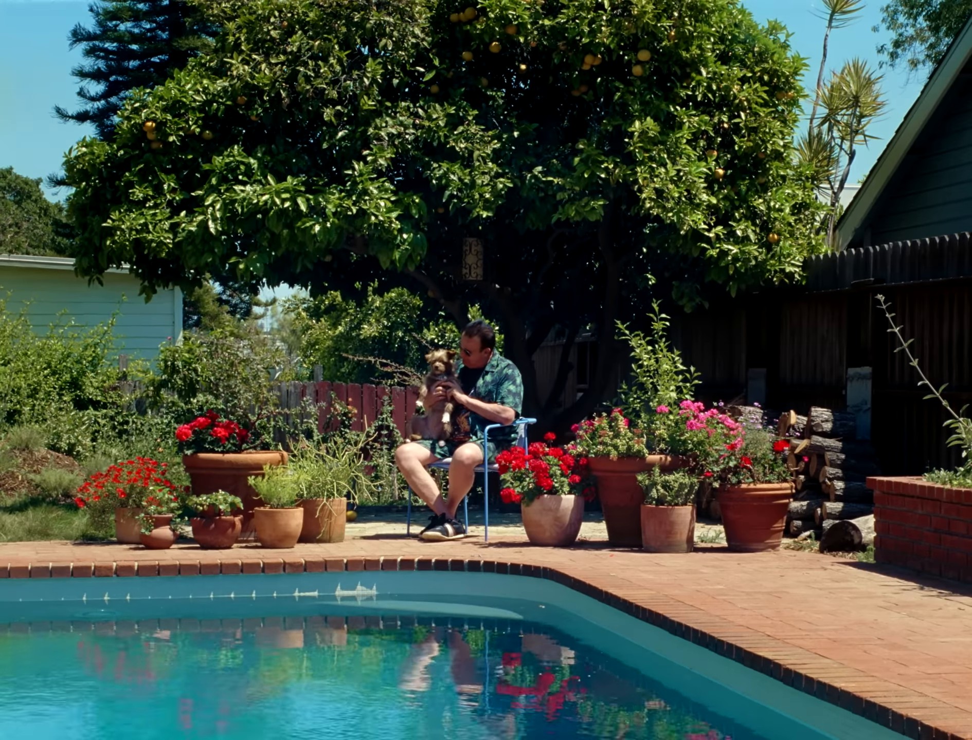 STILL WHAT I'M LOOKING FOR (2024) —  shot,  lighting