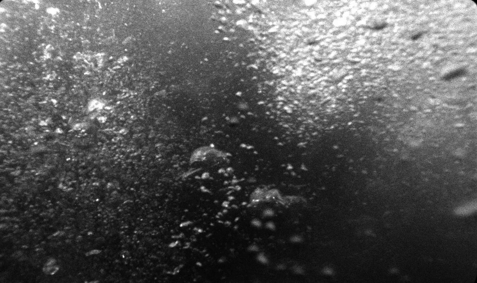 The Wild Boys (2017) —  shot,  lighting