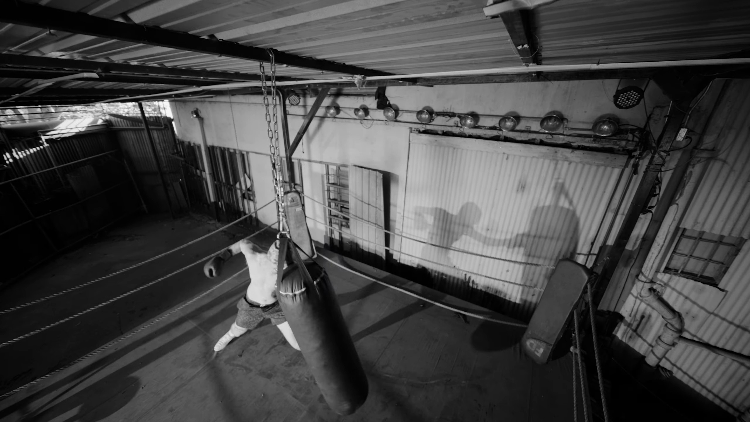 MERCI BEAUCOUP (2024) —  shot,  lighting