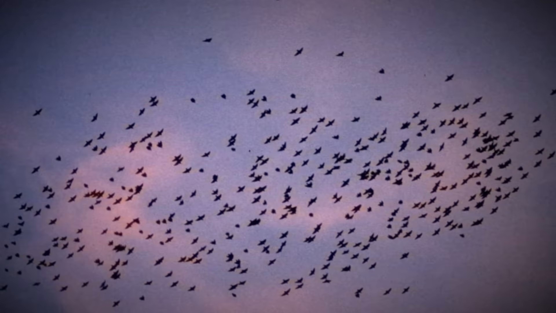 Letter To My Daughter (2024) —  shot,  lighting