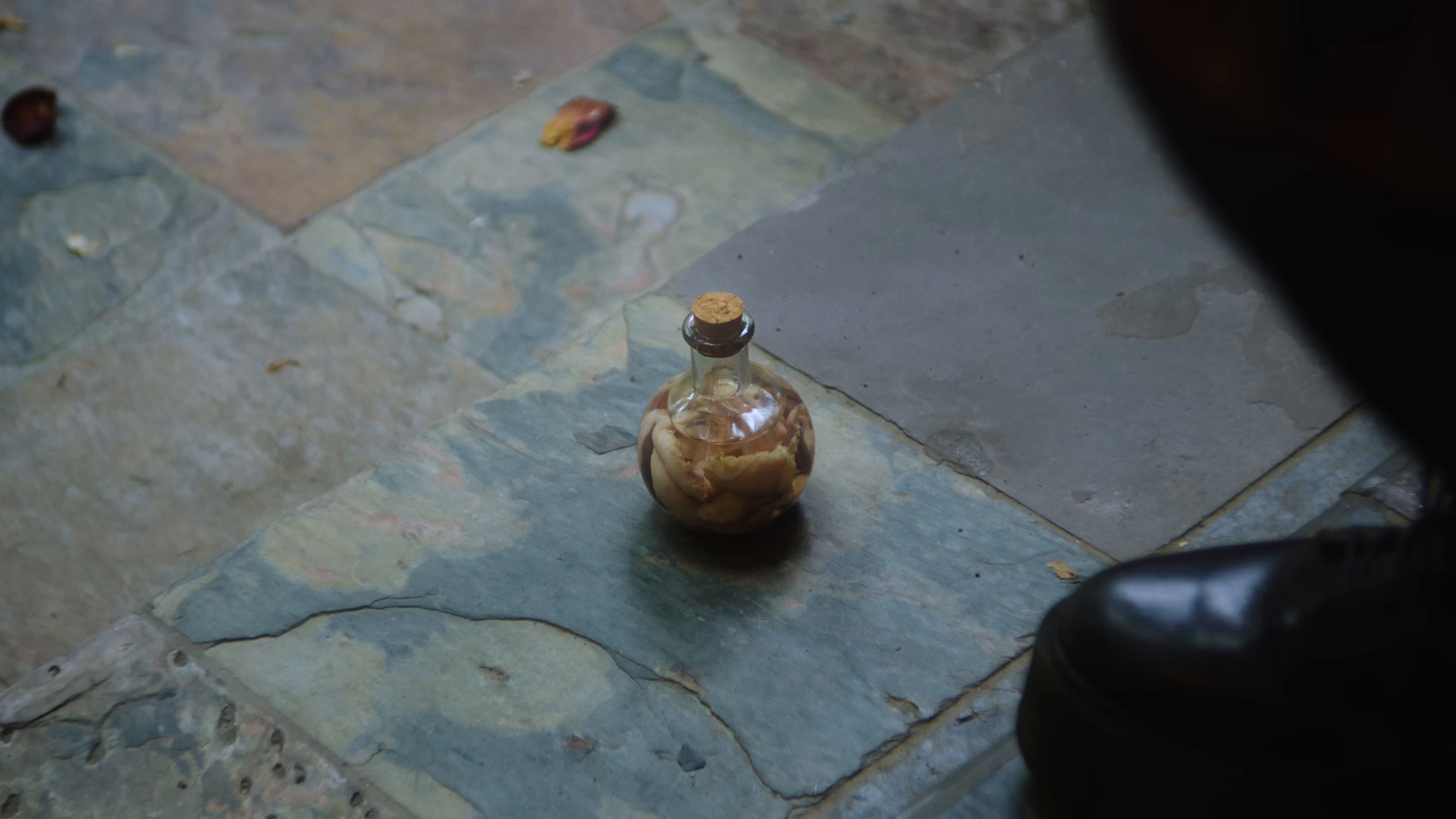 Toxins (2024) —  shot,  lighting