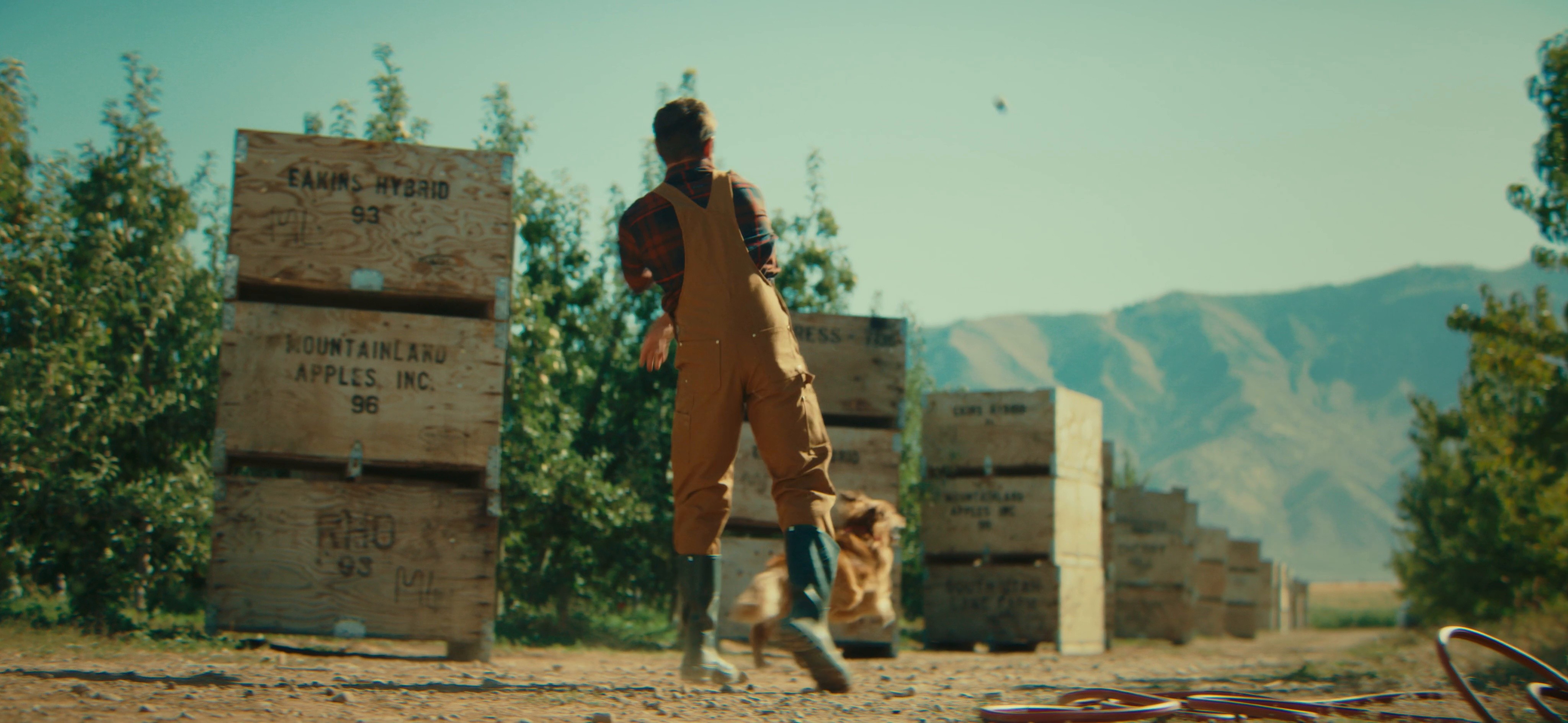 Zac Efron + Kodiak + WalMart - Limited Time Oatmeal Ad (2025) —  shot,  lighting