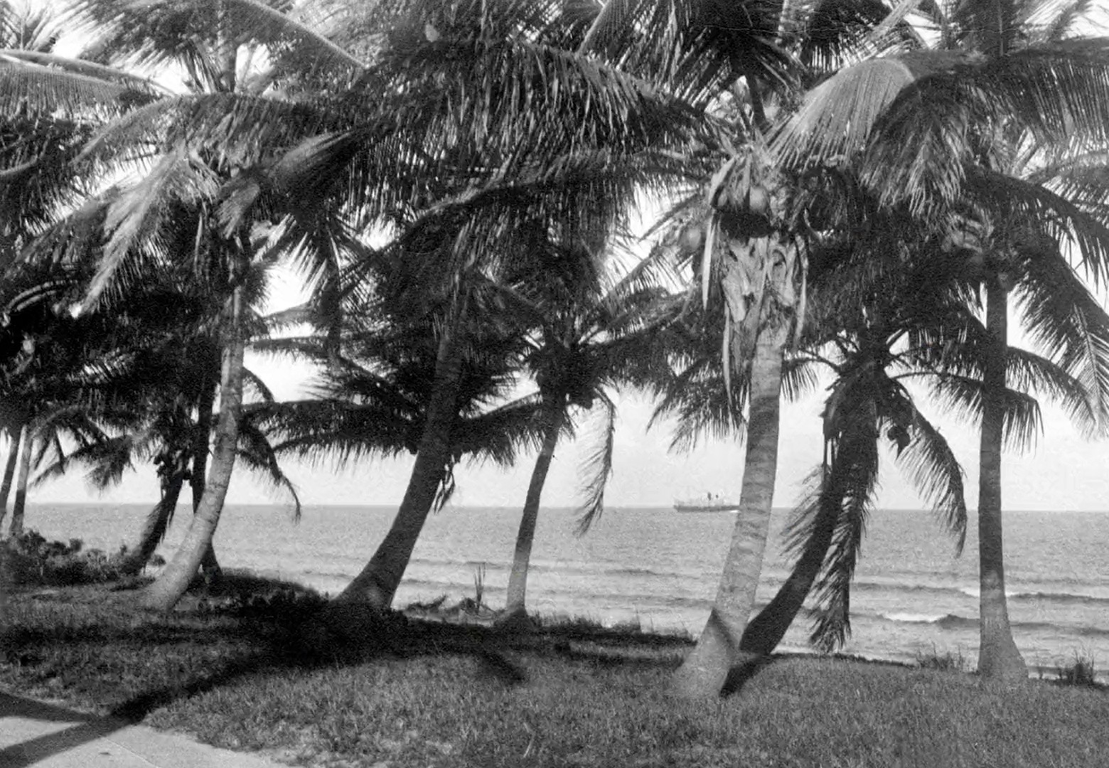 Coco Gauff x New Balance "Every Place Has a Story To Tell" (2025) —  shot,  lighting