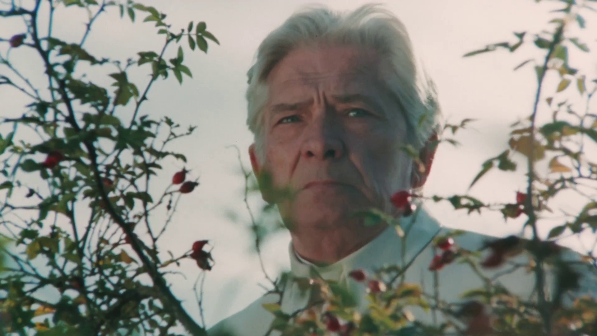 Synteza (1984) —  shot,  lighting