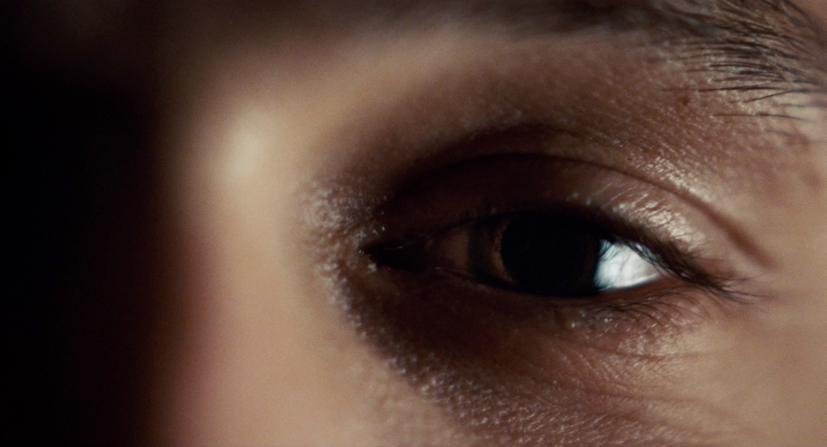 Milk (2008) —  shot,  lighting