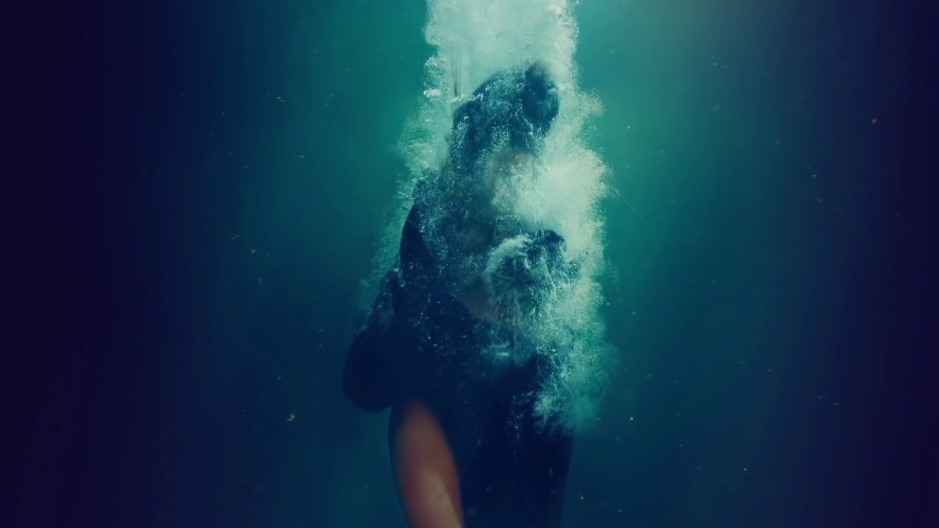 Hold Up (2016) —  shot,  lighting