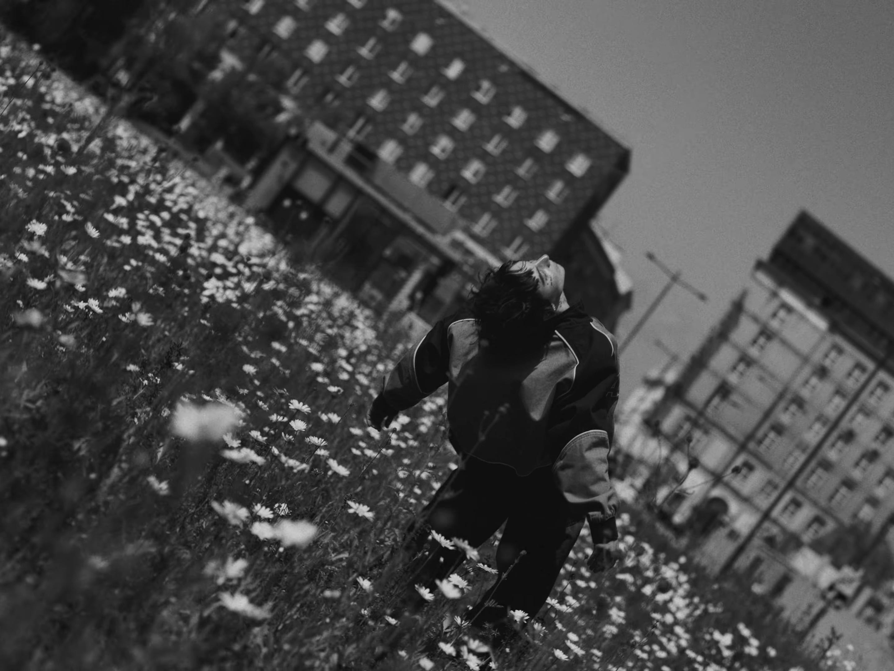 Core (2025) —  shot,  lighting