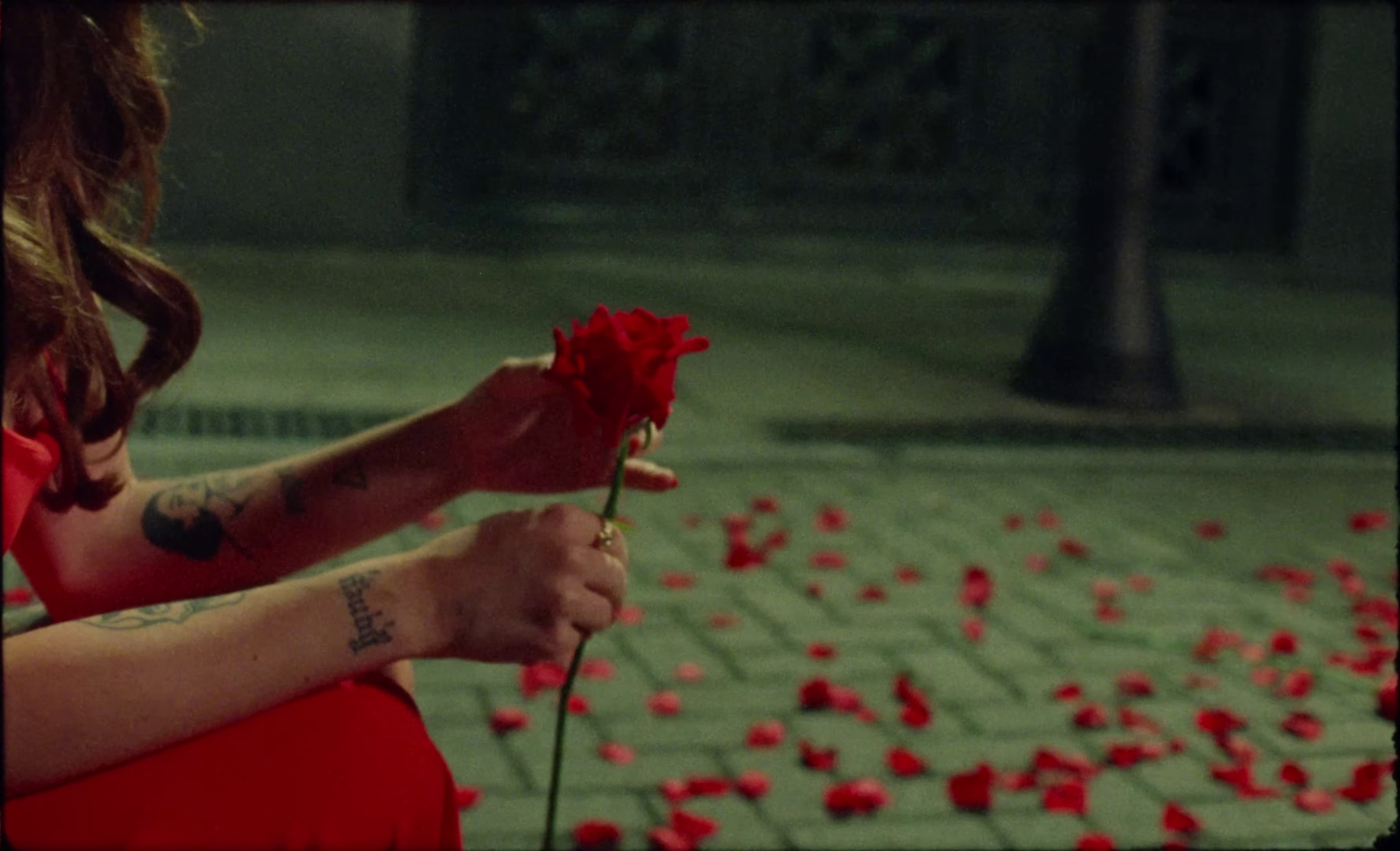 Ojos Verdes (2024) —  shot,  lighting