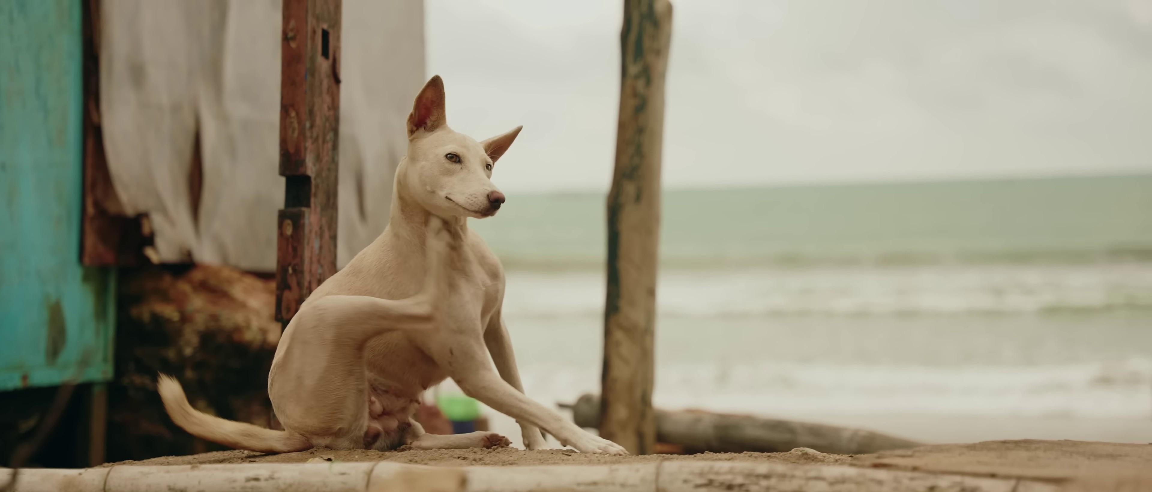 Baddie  (2022) —  shot,  lighting