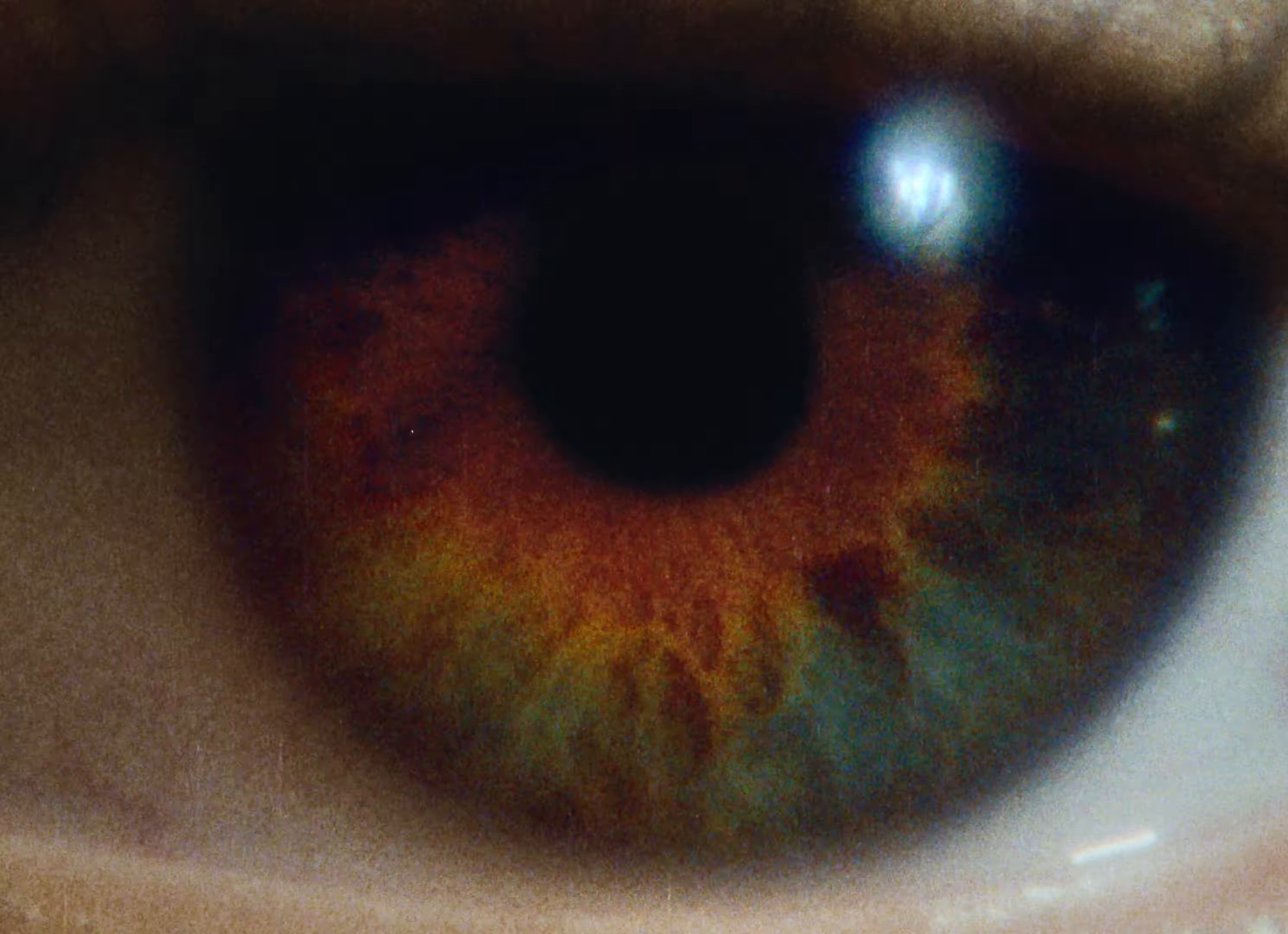 ANGEL (2024) —  shot,  lighting