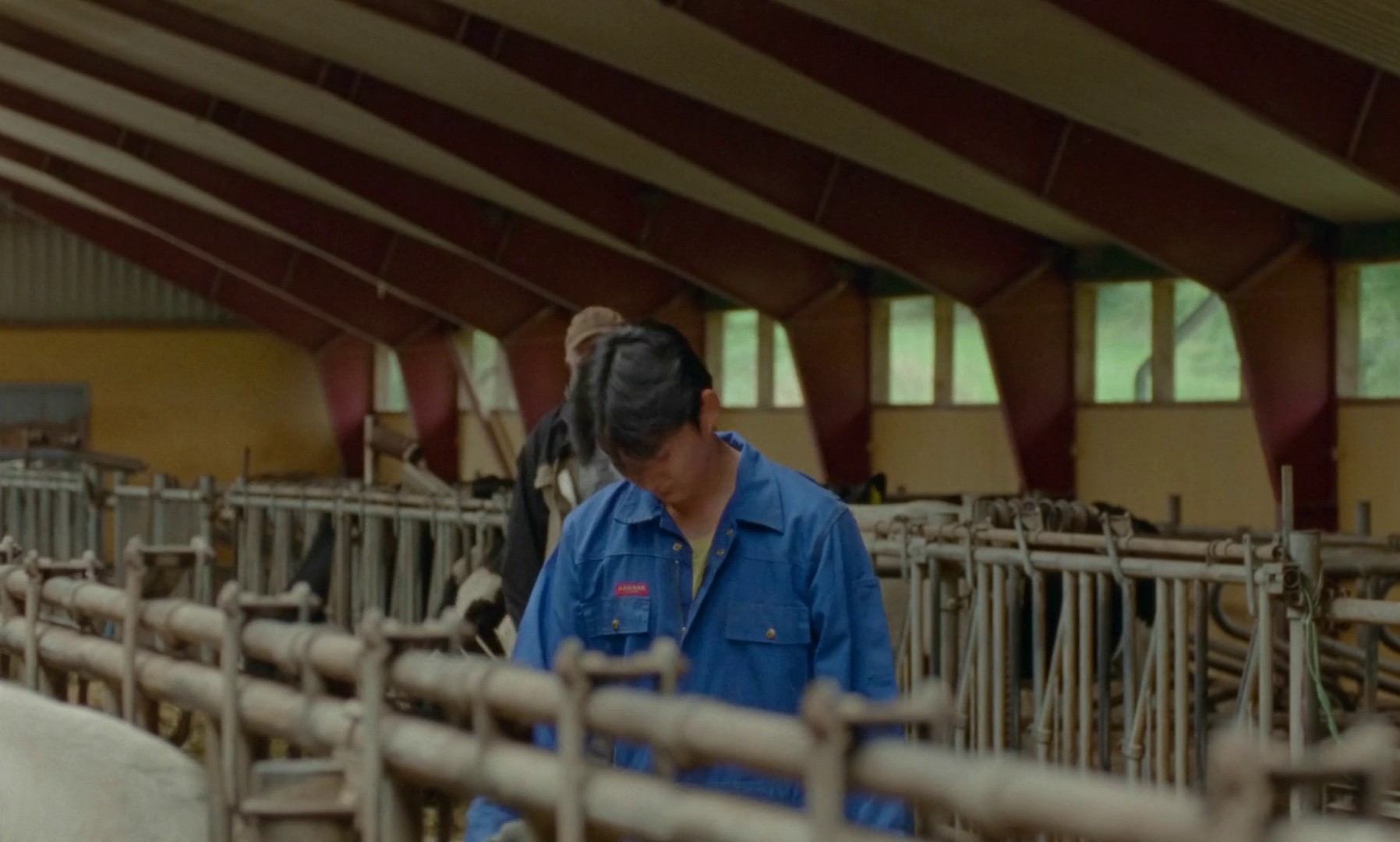 The Quiet Migration (2023) —  shot,  lighting