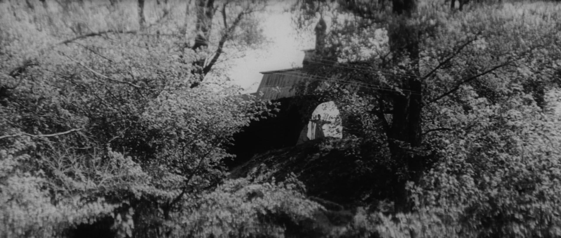 Andrei Rublev (1973) —  shot,  lighting