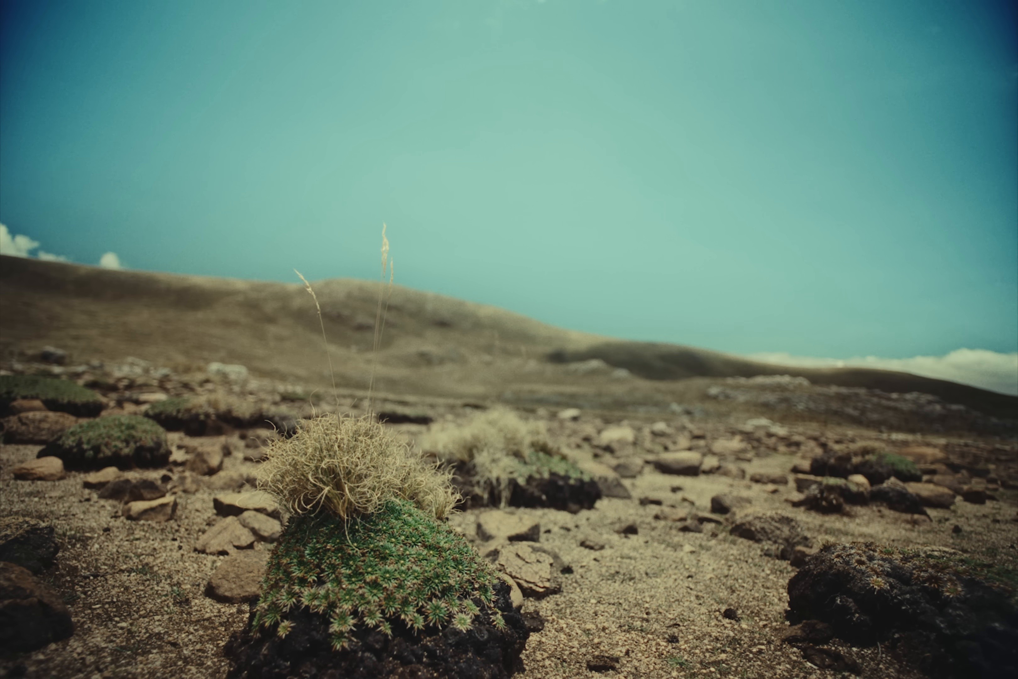 SÍGUEME (2025) —  shot,  lighting