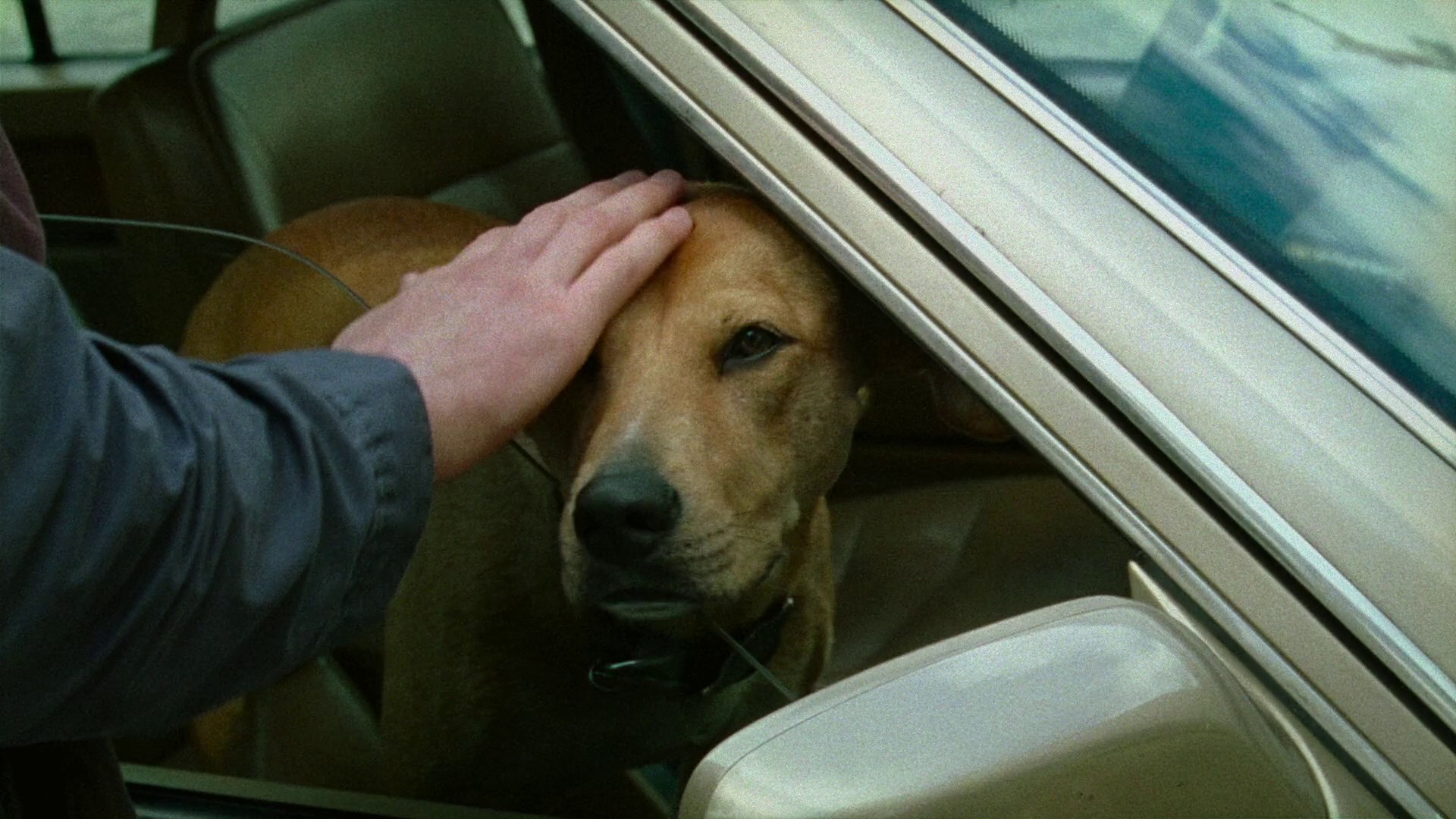 Old Joy (2008) —  shot,  lighting