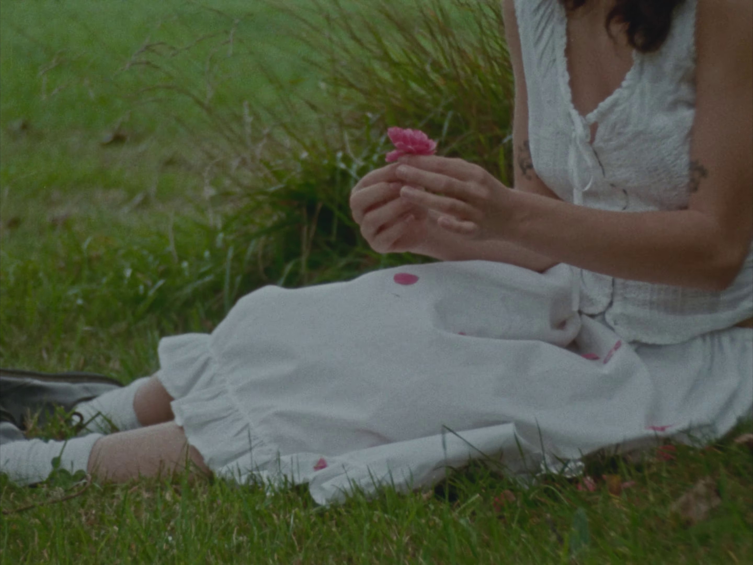 Emmanuelle (2024) —  shot,  lighting