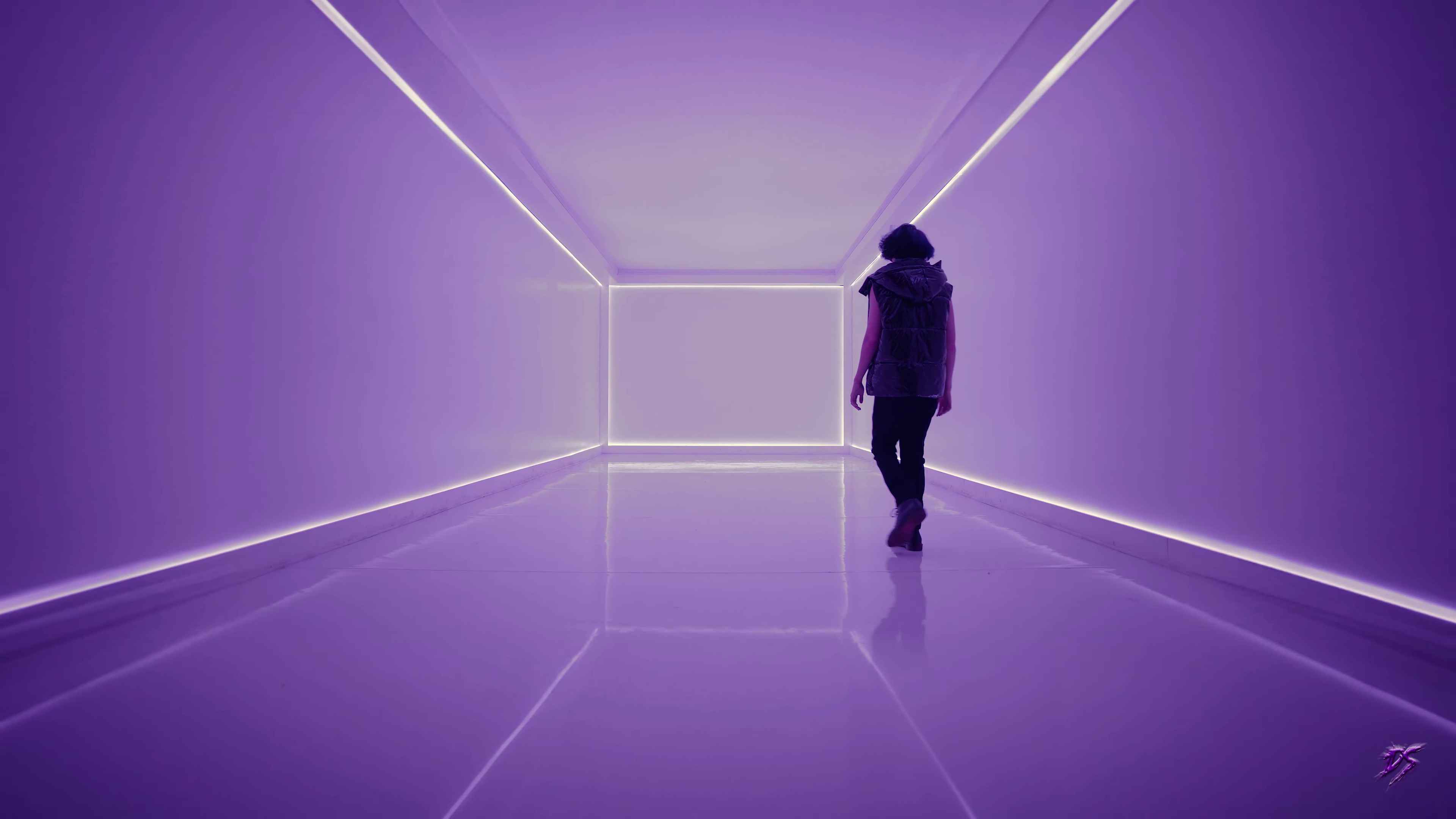 Love is a Lie (2023) —  shot,  lighting