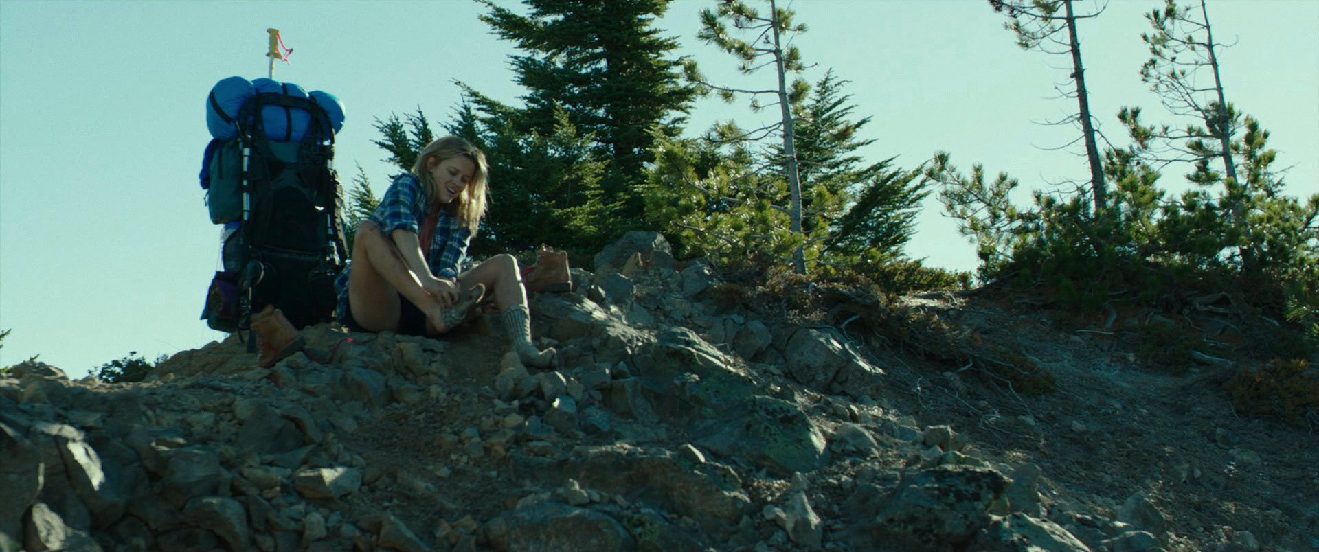 Wild (2014) —  shot,  lighting