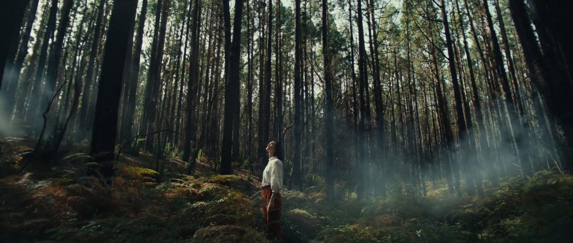 RENAULT - VOYAGE (2025) —  shot,  lighting