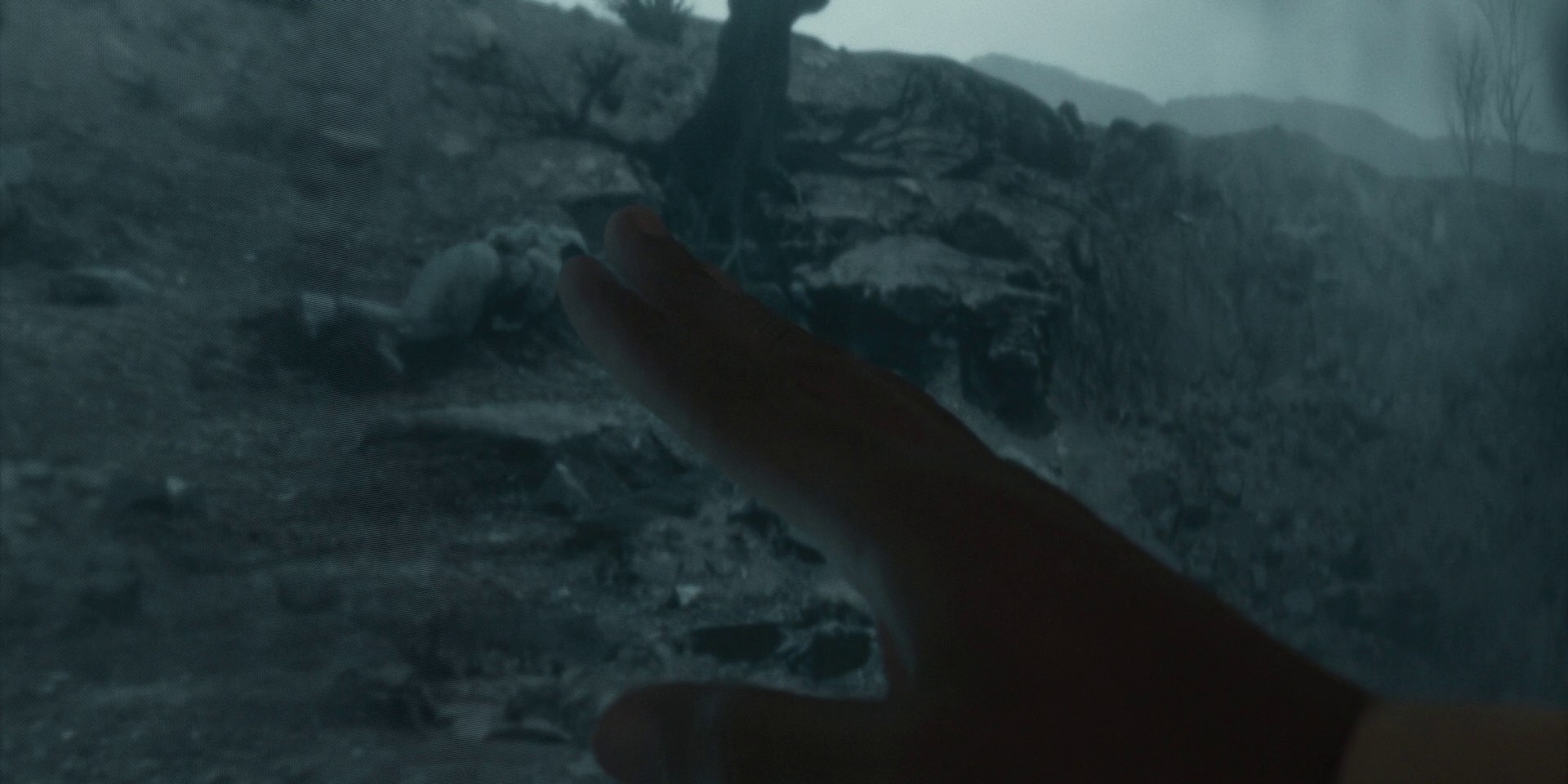 Freedom Day (2023) —  shot,  lighting