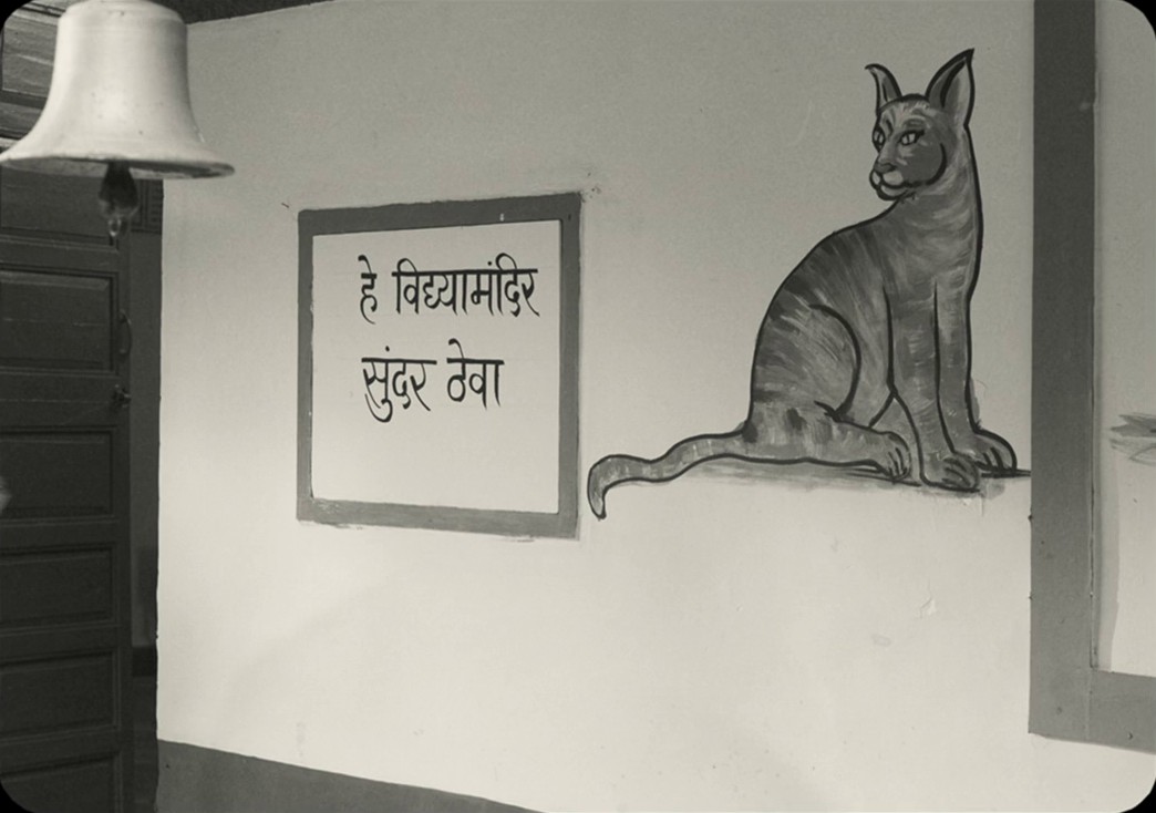 Aatmapamphlet (2023) —  shot,  lighting