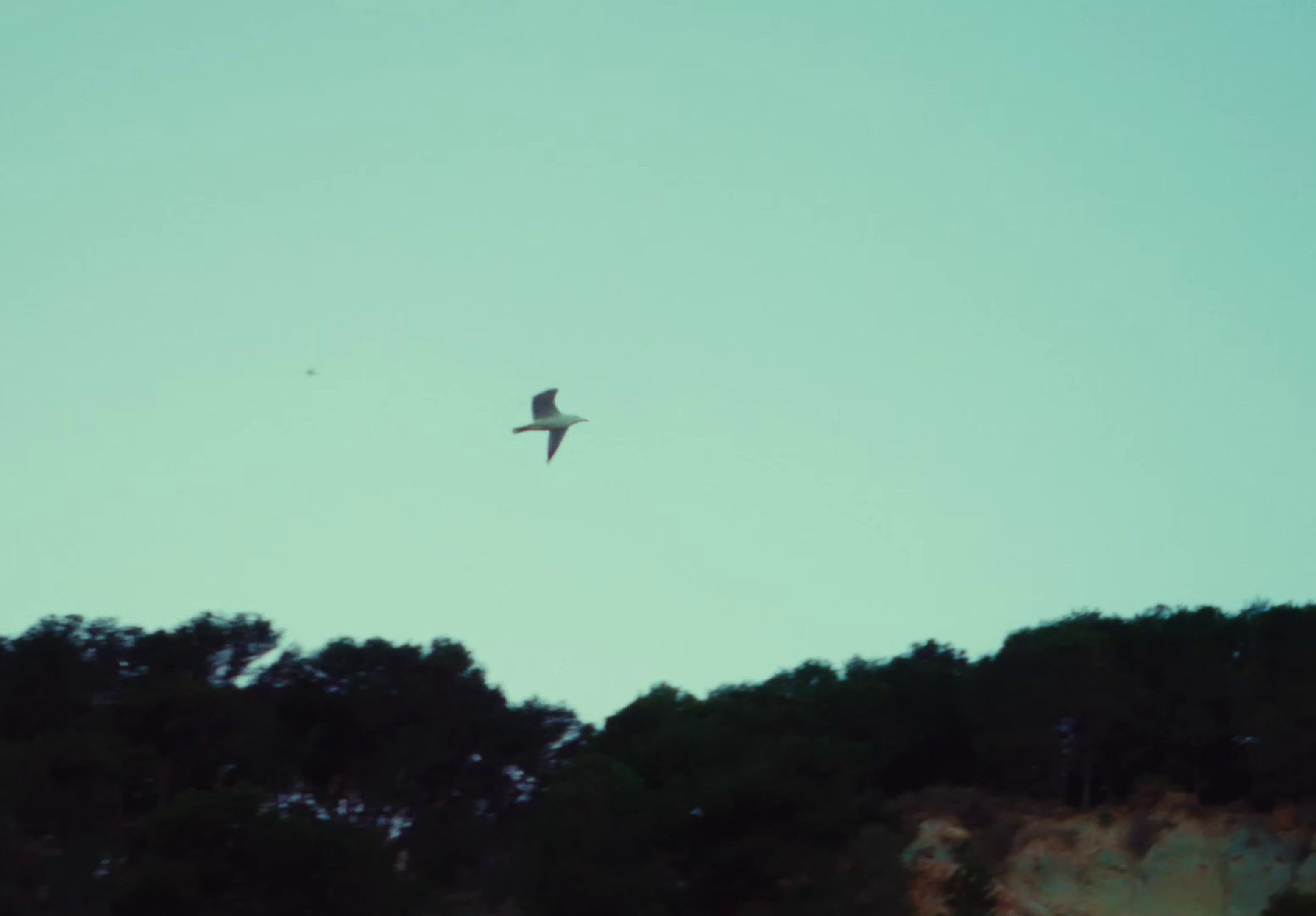 Mignon tout plein (2024) —  shot,  lighting