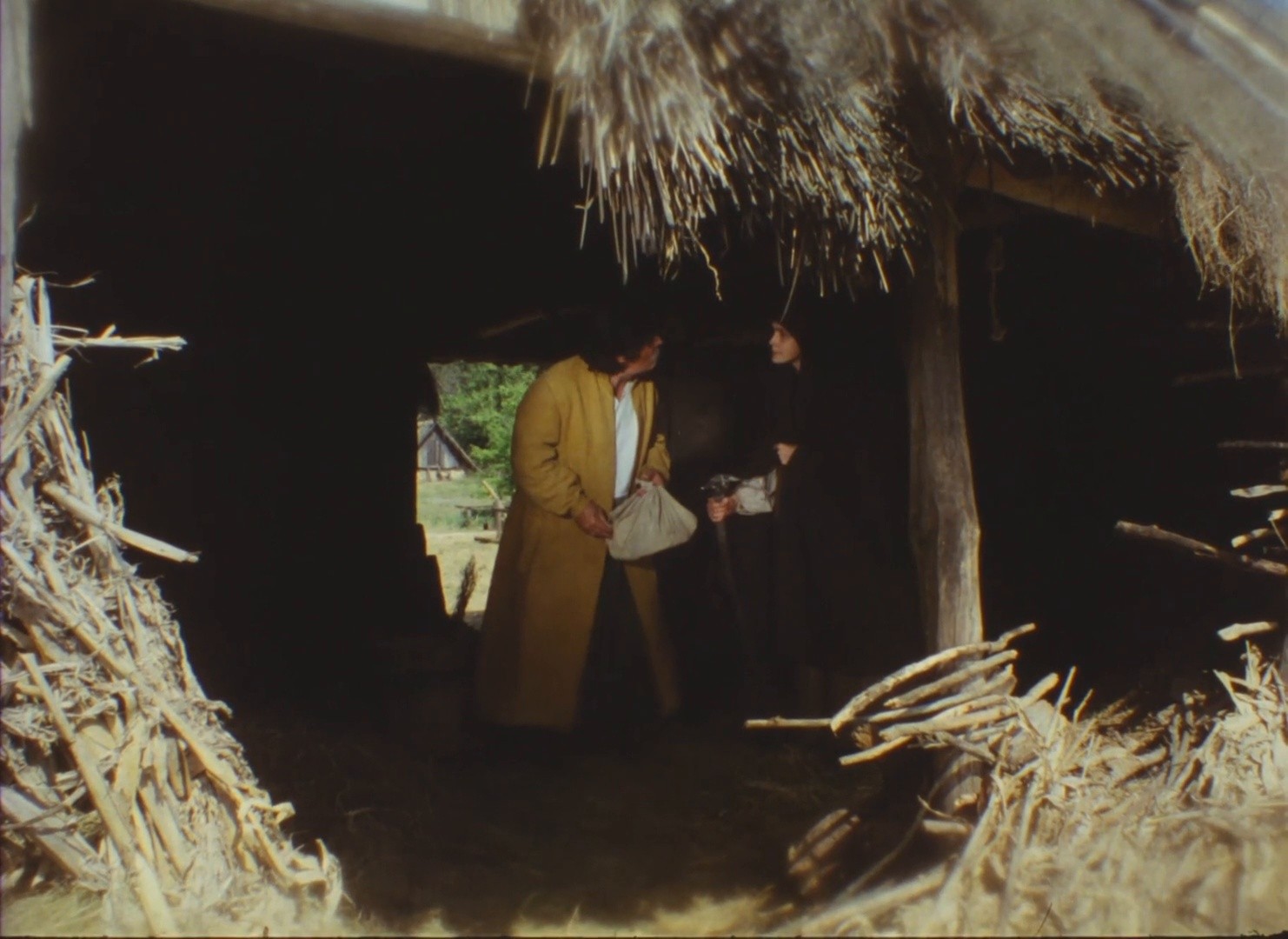 Golos travy (1995) —  shot,  lighting