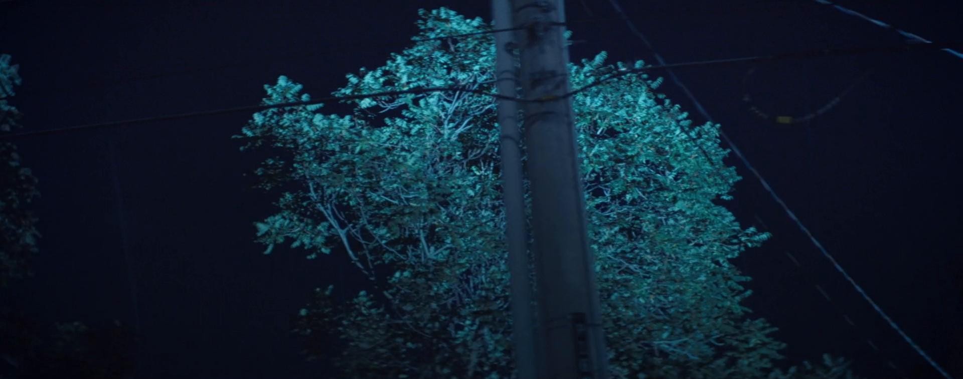 Toronto Maple Leafs - Stand Witness (2016) —  shot,  lighting