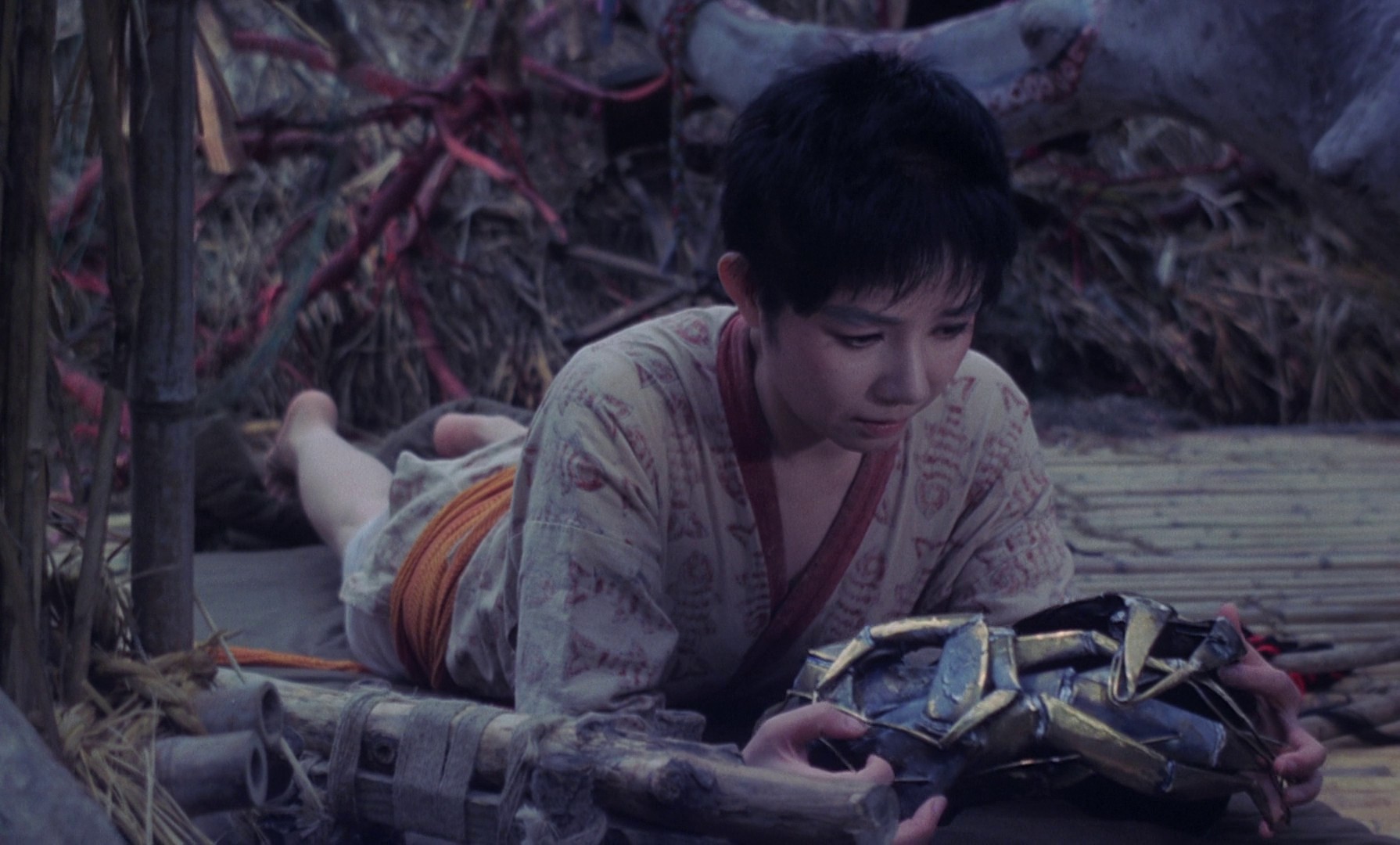 Farewell to the Ark (1984) —  shot,  lighting