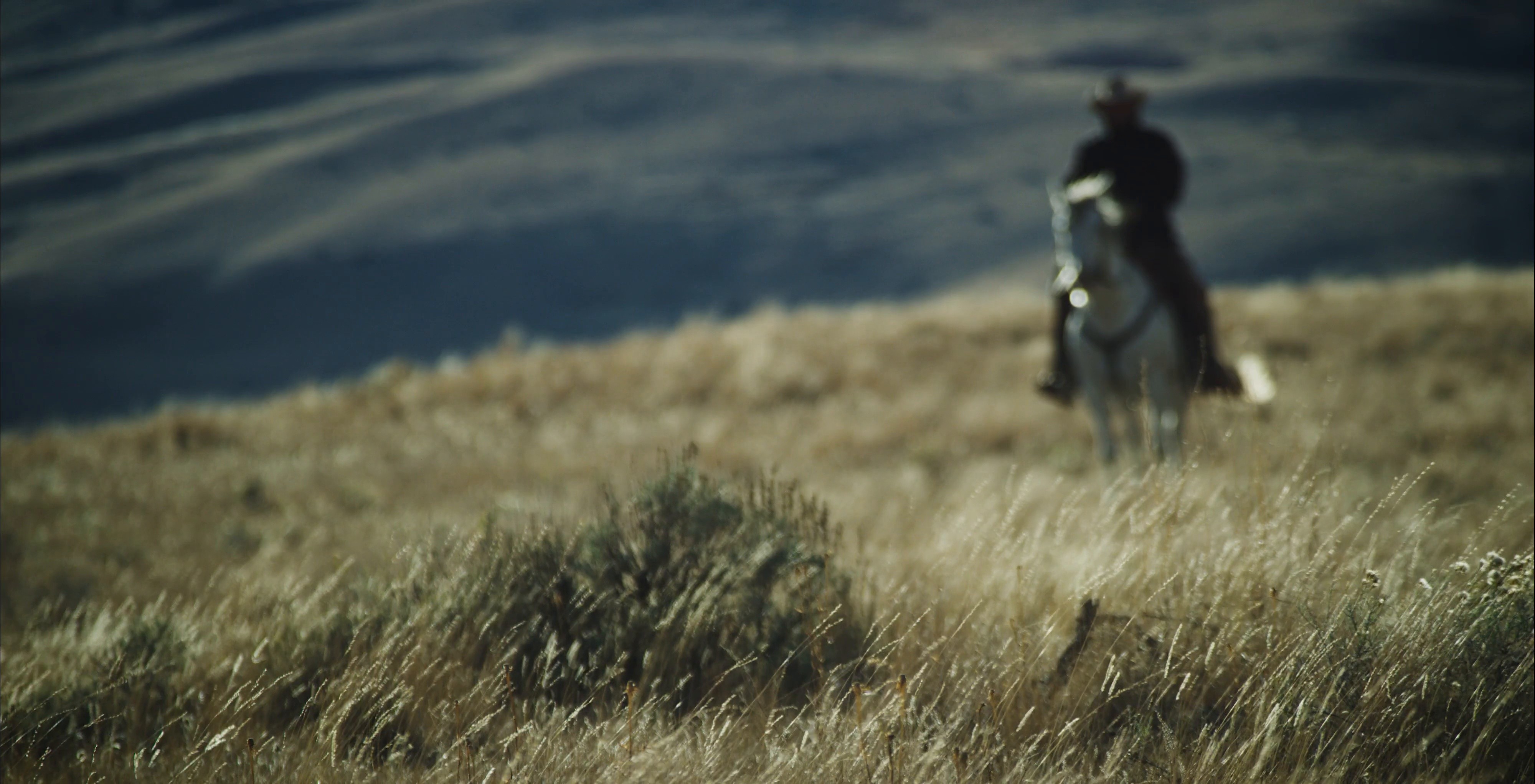 FILSON (2025) —  shot,  lighting